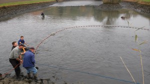 6386346573c192014_abfischen_tausendsee22.jpg